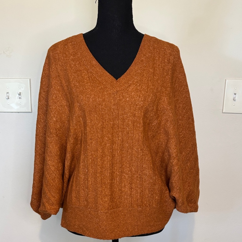 Simply Vera Vera Wang Rust V-Neck Sweater